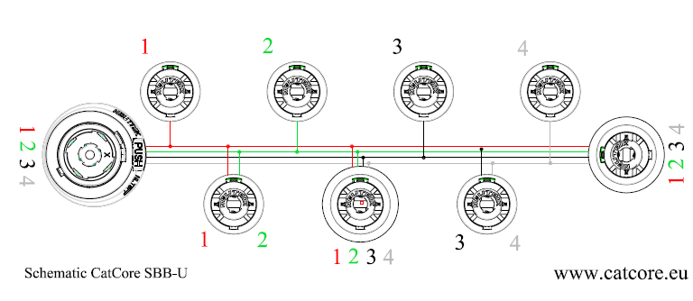 Schematic CatCore SBB-U Speakon NL8 to NL4 breakout box with Link